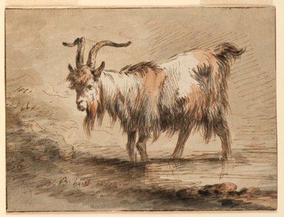 Disegno, Studio di una capra, 1772 da Jean Baptiste Huet