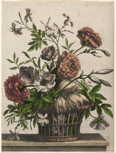 Calendule, anemone singolo, gelsomino... da Jean Baptiste I Monnoyer