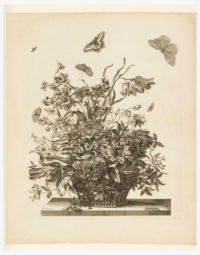 Tavola 10, dal set di Fiori in un Cesto da Jean Baptiste Monnoyer