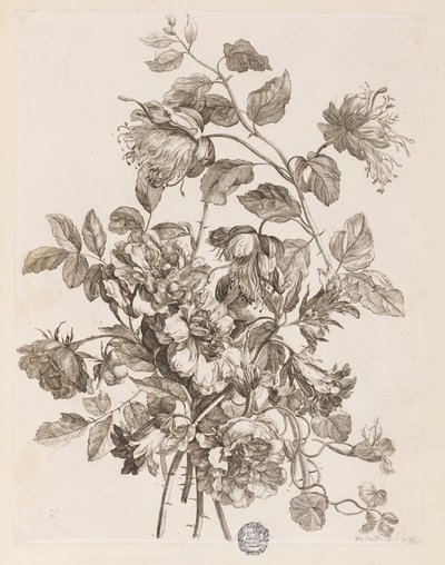 Tavola da "Le Livre de toutes sortes de fleurs d