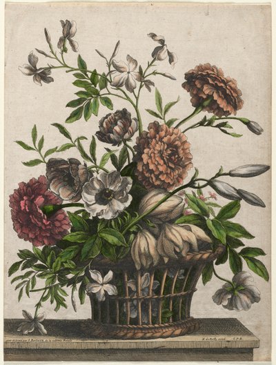 Calendule, anemone singolo, gelsomino... da Jean Baptiste Monnoyer I
