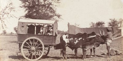 Gemelli Campbell in uno Shigram, Campo del Governatore Generale da Jean Baptiste Oscar Mallitte