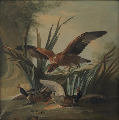 Un falco che attacca una coppia di anatre da Jean Baptiste Oudry