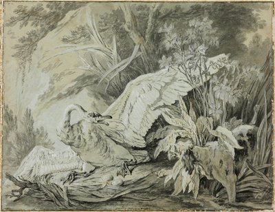 Un cigno selvatico attaccato da un cane da Jean Baptiste Oudry