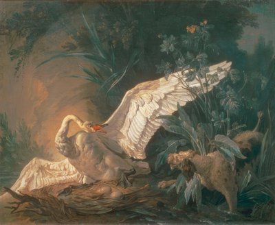 Cane barbet che attacca un cigno nel suo nido da Jean Baptiste Oudry