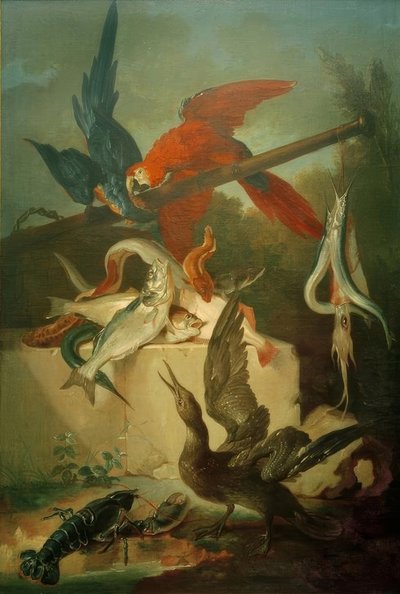 Pesci, uccelli marini e pappagalli da Jean Baptiste Oudry