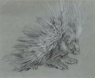 Istrice da Jean-Baptiste Oudry