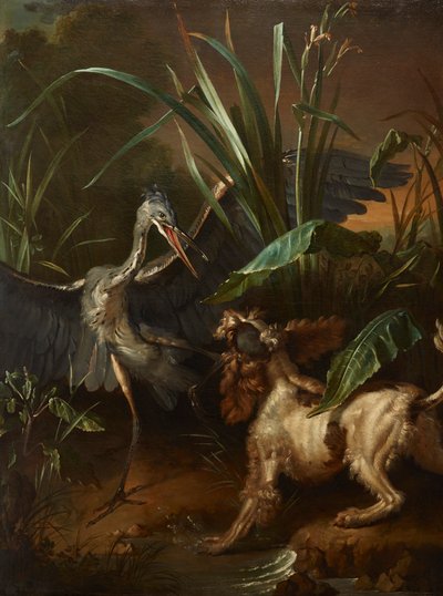 Spaniel d