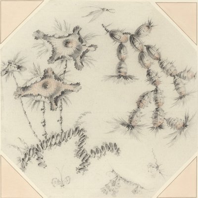 Fiori di bambù e cactus da Jean Baptiste Pillement