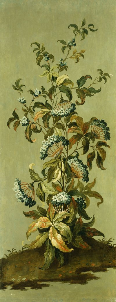 Pannelli decorativi con fiori da Jean Baptiste Pillement