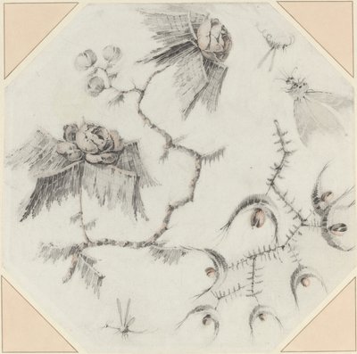 Fiori e insetti fantasiosi da Jean Baptiste Pillement