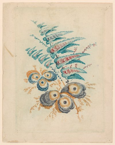Motivo floreale fantastico da Nouvelle Suitte de Cahiers de Fleurs Idéales da Jean Baptiste Pillement