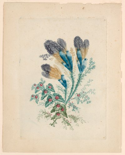 Motivo floreale fantastico da "Nouvelle Suitte de Cahiers de fleurs idéales" da Jean Baptiste Pillement