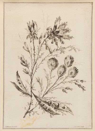 Ramo Fiorito da Jean Baptiste Pillement