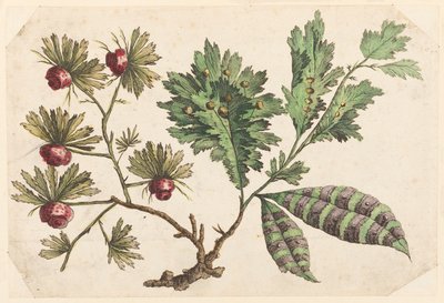 Ramo di fiori, da "Recueil de Fleurs Chinois" da Jean Baptiste Pillement