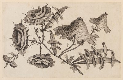 Ramo di fiore, da "Recueil de Fleurs Chinois" da Jean Baptiste Pillement