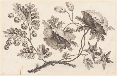 Ramo di fiori, da "Recueil de Fleurs Chinois" da Jean Baptiste Pillement