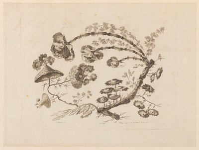 Rami di fiori, da "Recueil de Differentes Fleurs de Fantaisie Dans le Goût Chinois" da Jean Baptiste Pillement