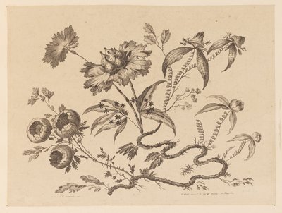 Rami di fiori, da "Recueil de Differentes Fleurs de Fantaisie Dans le Goût Chinois" da Jean Baptiste Pillement