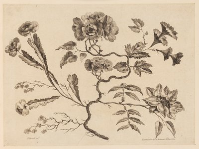 Rami di fiori, da "Recueil de Differentes Fleurs de Fantaisie Dans le Goût Chinois" da Jean Baptiste Pillement