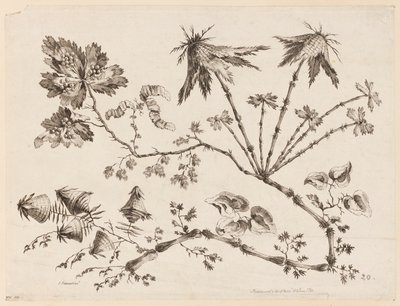 Rami di fiori, da "Recueil de Differentes Fleurs de Fantaisie Dans le Goût Chinois" da Jean Baptiste Pillement