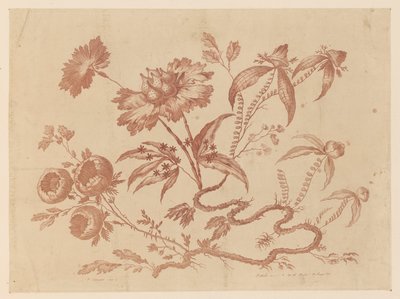 Rami di fiori, da "Recueil de Differentes Fleurs de Fantaisie Dans le Goût Chinois" da Jean Baptiste Pillement