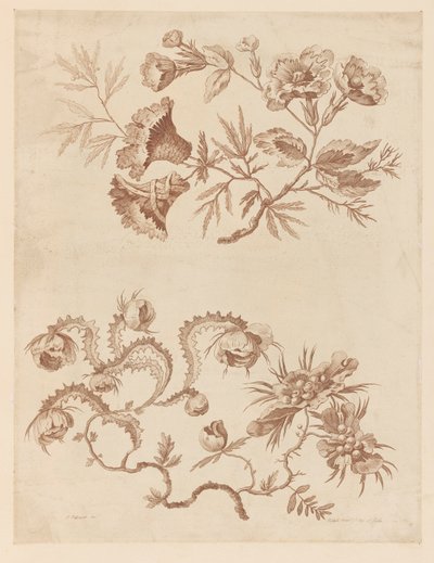 Rami di fiori, da "Recueil de Differentes Fleurs de Fantaisie Dans le Goût Chinois" da Jean Baptiste Pillement
