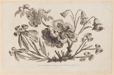 Rami Fioriti, da "Recueil de Fleurs de Chinois" da Jean Baptiste Pillement