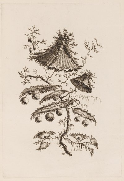 Ramo di fiori, da "Fleures Persannes" da Jean Baptiste Pillement