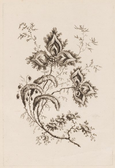 Ramo di fiori, da "Fleures Persannes" da Jean Baptiste Pillement
