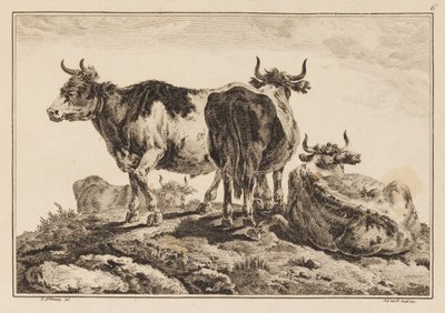 Tavola 6, da "Cahier de Six Feuilles de Boeufs et Vaches" da Jean Baptiste Pillement