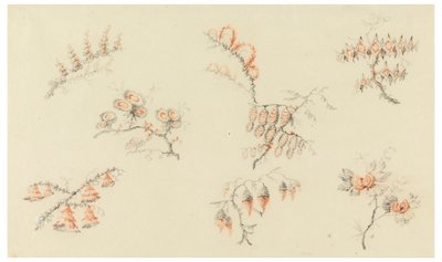Mazzi di sette fiori ideali e di un fiore quasi naturalistico da Jean Baptiste Pillement