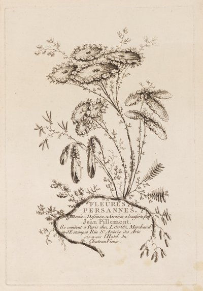 Pagina del titolo, da "Fleures Persannes" da Jean Baptiste Pillement