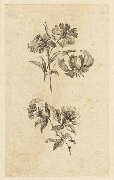 Due rami di fiori da Jean Baptiste Pillement