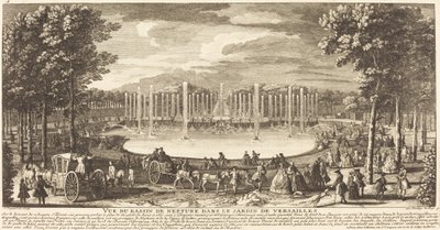 Vista del Bacino di Nettuno nel Giardino di Versailles da Jean Baptiste Rigaud