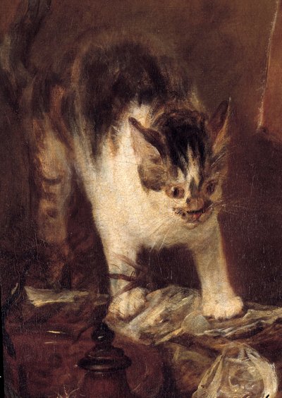 Natura morta con pesci, ostriche, brocca e gatto (dettaglio) da Jean Baptiste Simeon Chardin