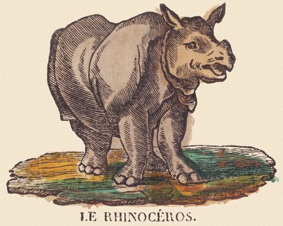 Il rinoceronte, c.1840-1852 (litografia) da Jean Baptiste Thiebault