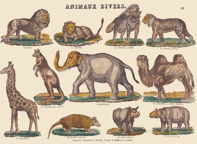 Vari animali, c.1840-1852 da Jean Baptiste Thiebault