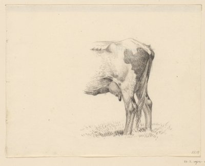 Zampe posteriori di una mucca da Jean Bernard