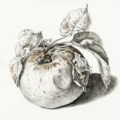 Apple da Jean Bernard