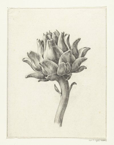 Carciofo da Jean Bernard