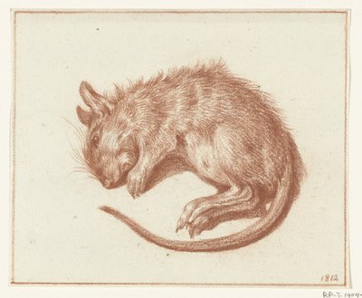 Ratto morto da Jean Bernard