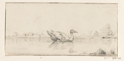 Anatra in acqua da Jean Bernard