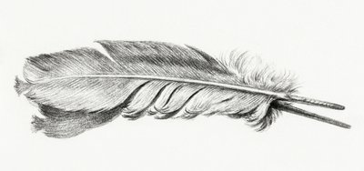 Piuma da Jean Bernard