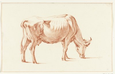 Mucca al pascolo, verso destra da Jean Bernard