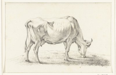 Mucca al pascolo, verso destra da Jean Bernard