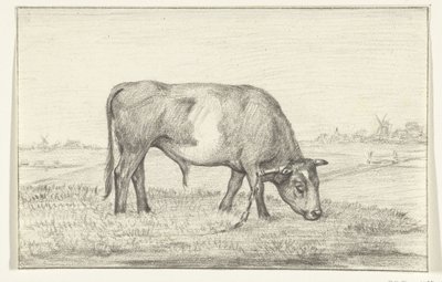 Toro al pascolo in un prato, verso destra da Jean Bernard