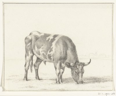 Toro al pascolo, verso destra da Jean Bernard