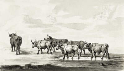 Gruppo di sei tori da Jean Bernard