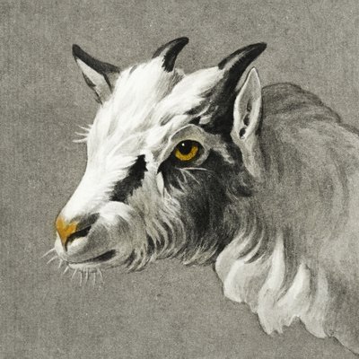 Testa di capra da Jean Bernard